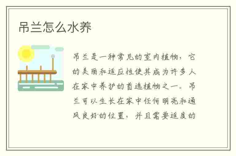 吊兰怎么水养(吊兰怎么水养不烂根)